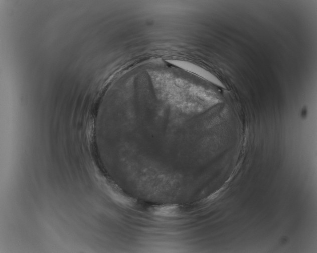 X0000116770132201001071224