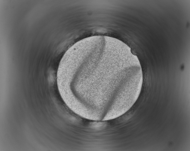 X0000116770135201001071224