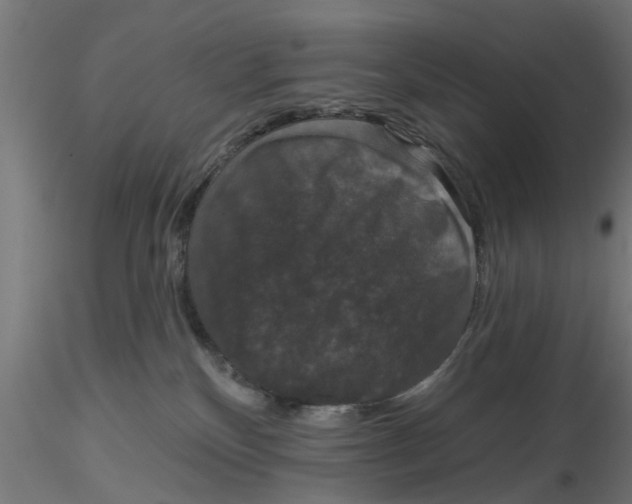 X0000116770136201001071224