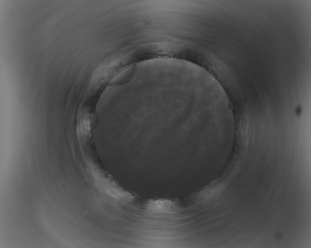 X0000116770137201001071224