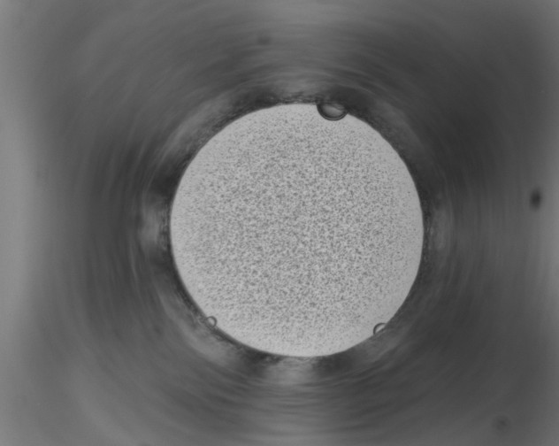 X0000116770138201001071224