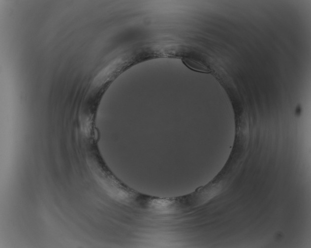 X0000116770139201001071224