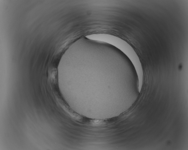 X0000116770141201001071224