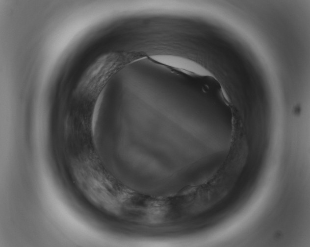 X0000116770143201001071224