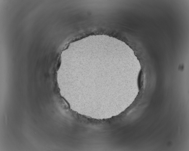 X0000116770144201001071224