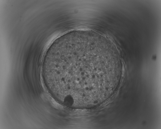 X0000116770145201001071223