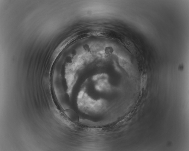 X0000116770147201001071223