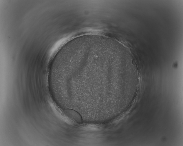 X0000116770149201001071223