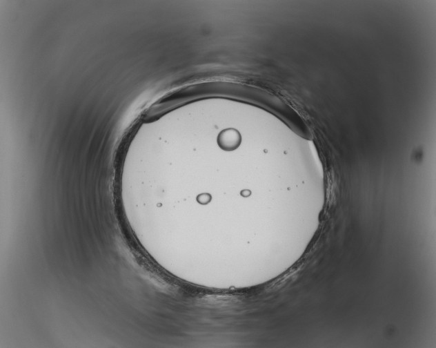 X0000116770150201001071223