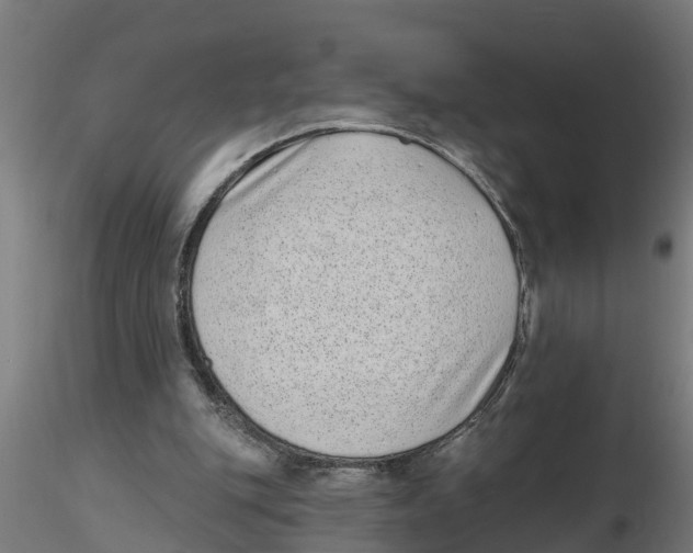 X0000116770151201001071223