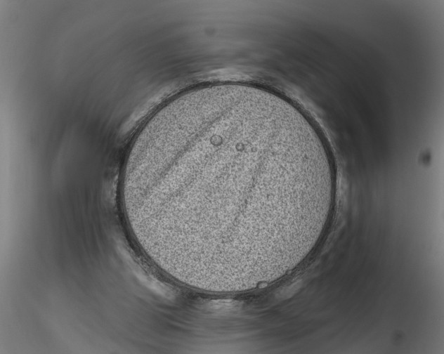 X0000116770153201001071223