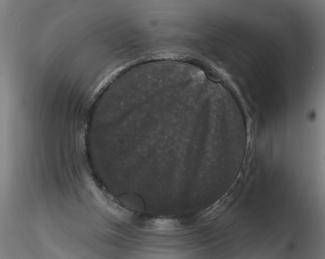 X0000116770154201001071223