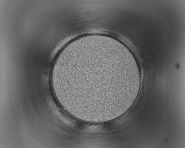 X0000116770155201001071223