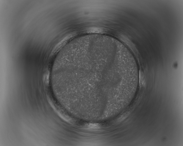 X0000116770157201001071223