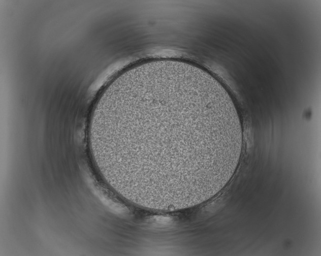 X0000116770159201001071223