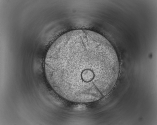 X0000116770162201001071223