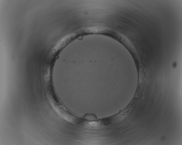 X0000116770163201001071223