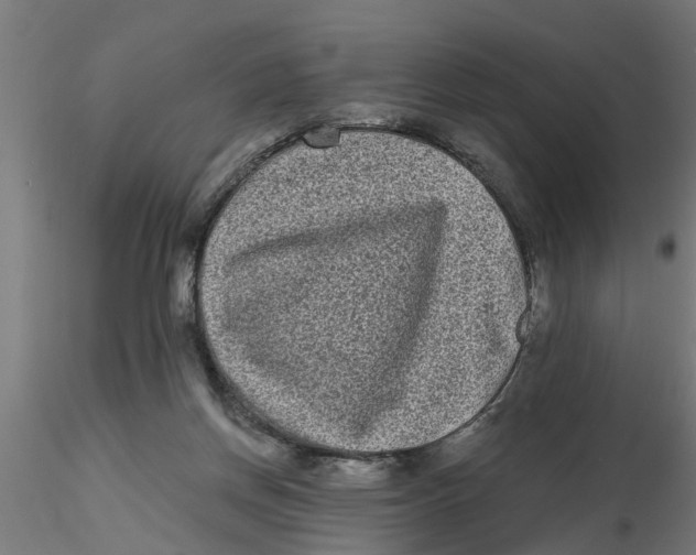 X0000116770166201001071223