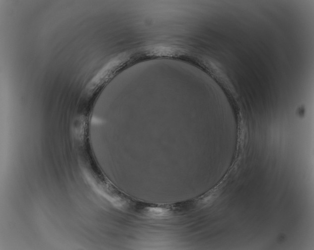 X0000116770167201001071223