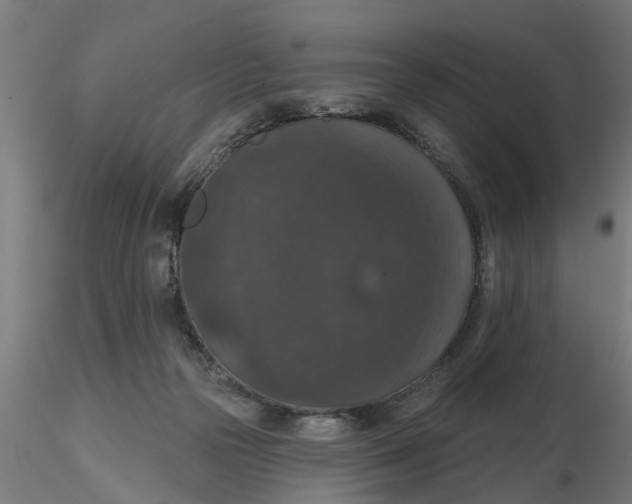 X0000116770169201001071223