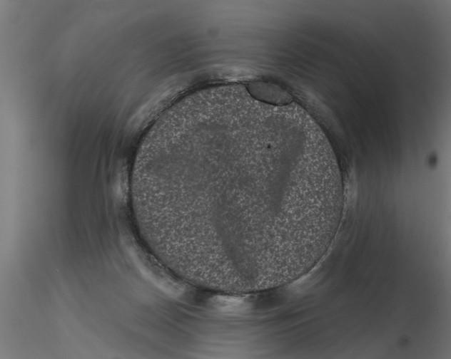 X0000116770170201001071223