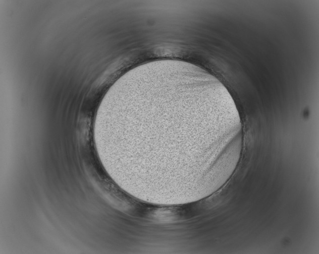 X0000116770171201001071223