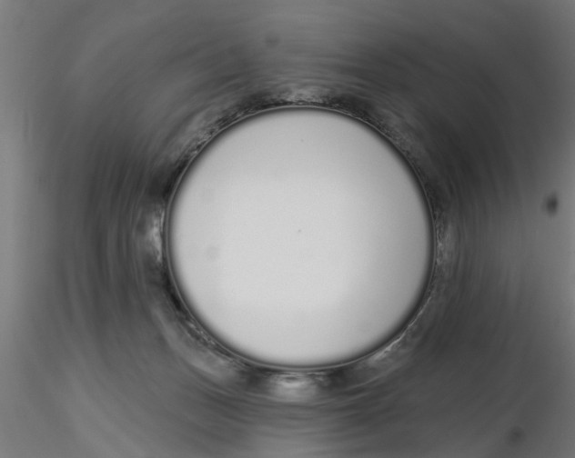 X0000116770175201001071224
