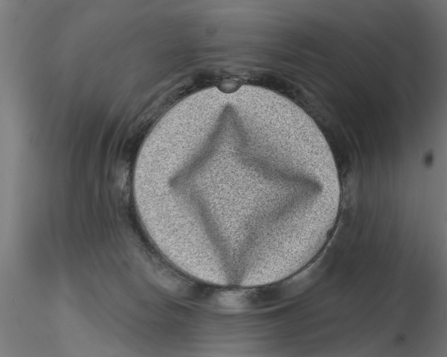 X0000116770178201001071224