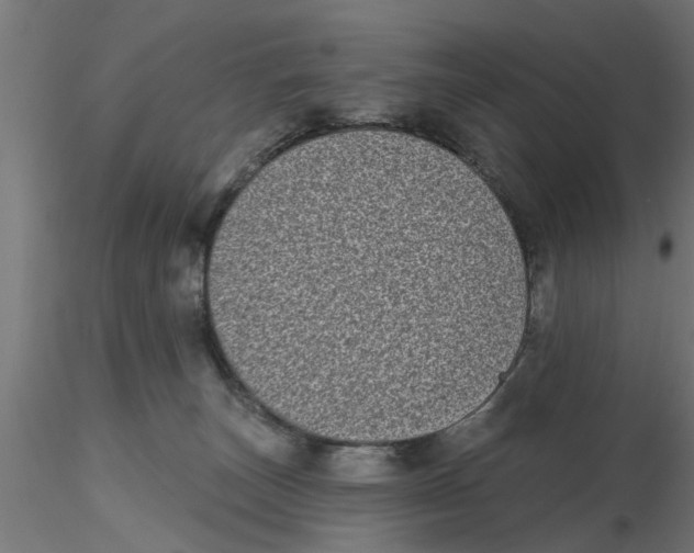 X0000116770179201001071224