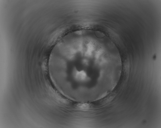 X0000116770181201001071224