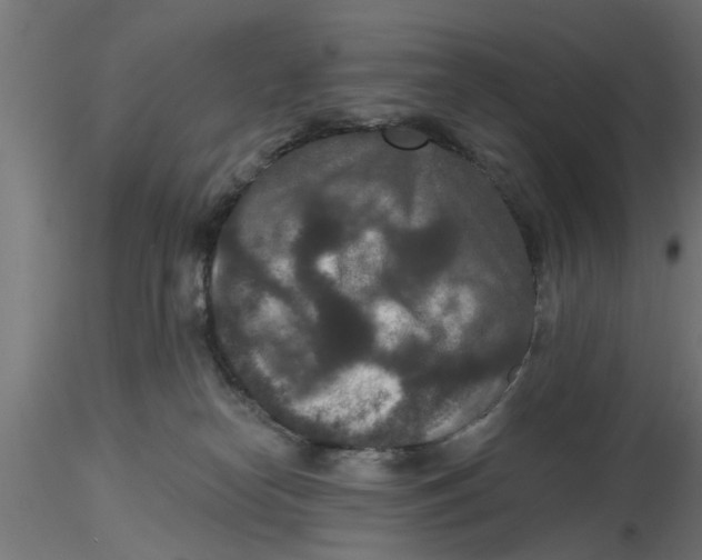 X0000116770182201001071224