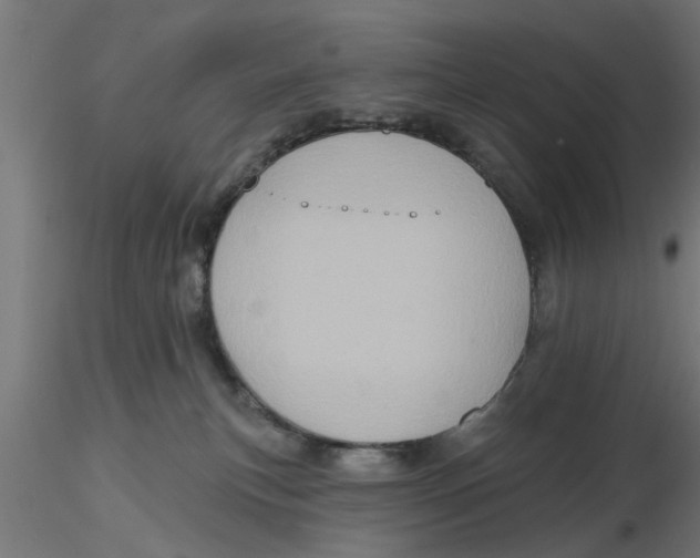 X0000116770183201001071224