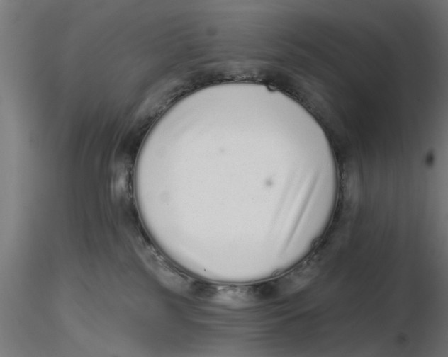 X0000116770185201001071224