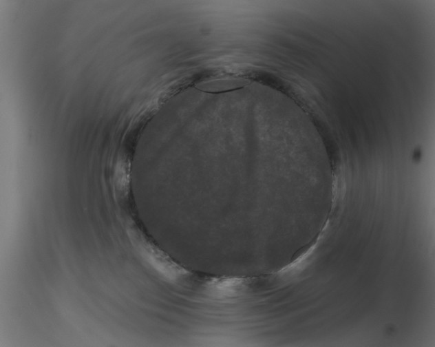 X0000116770186201001071224