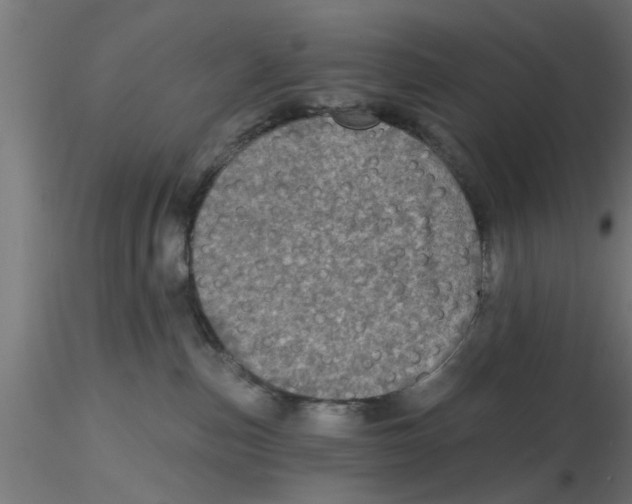 X0000116770187201001071224