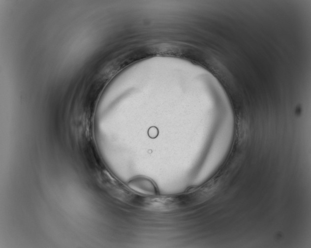 X0000116770189201001071224