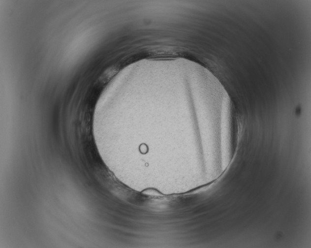 X0000116770190201001071224