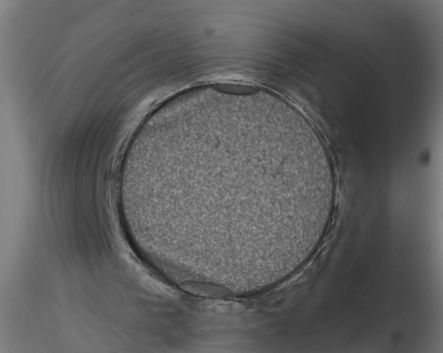 X0000116770193201001071223