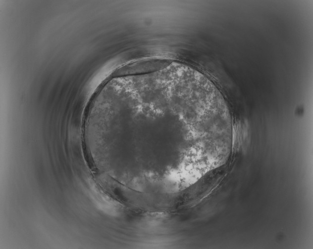 X0000116770195201001071223