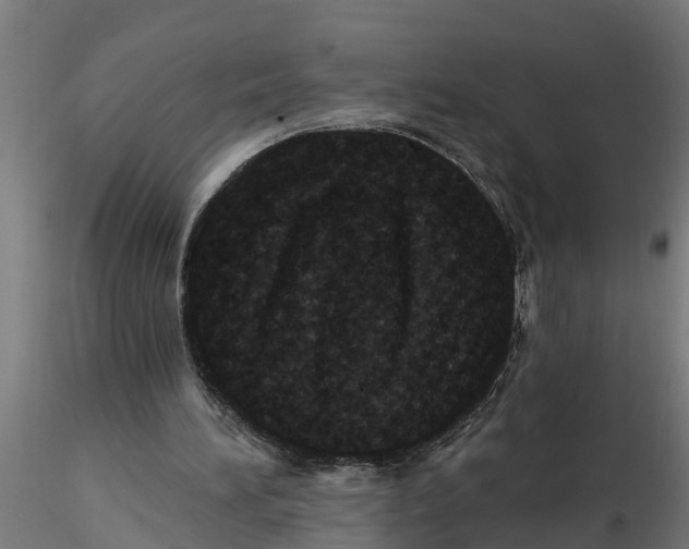 X0000116770196201001071223