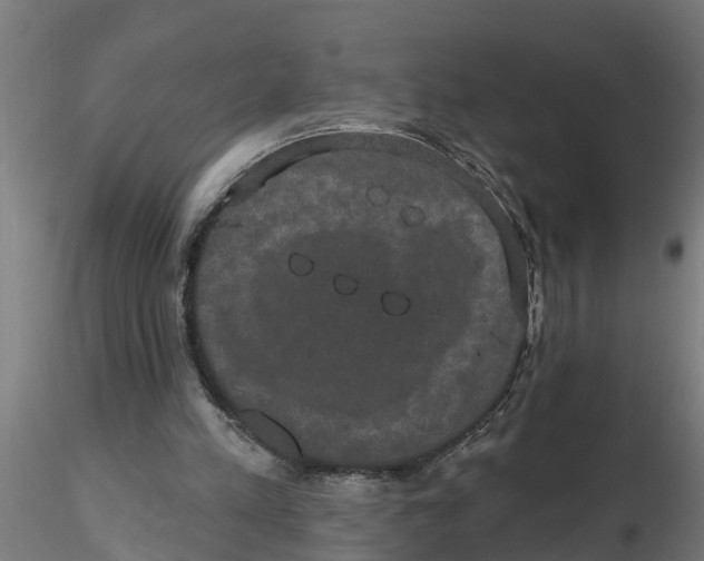 X0000116770197201001071223