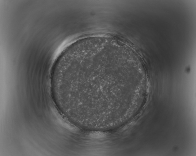 X0000116770198201001071223