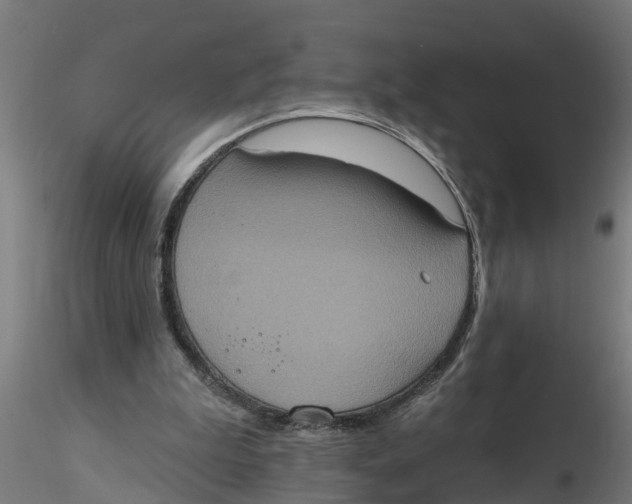 X0000116770199201001071223