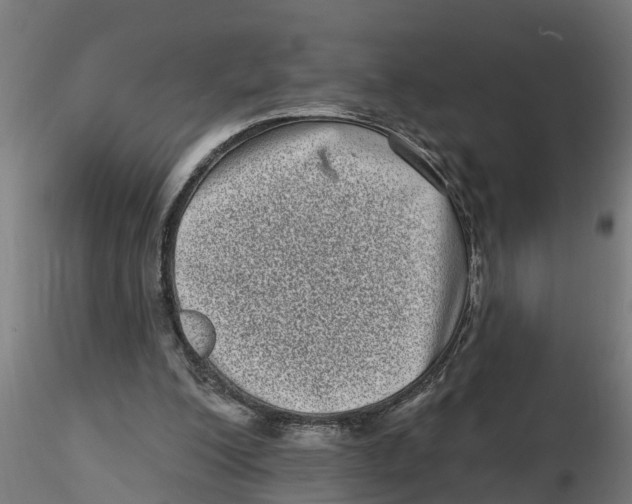 X0000116770200201001071223