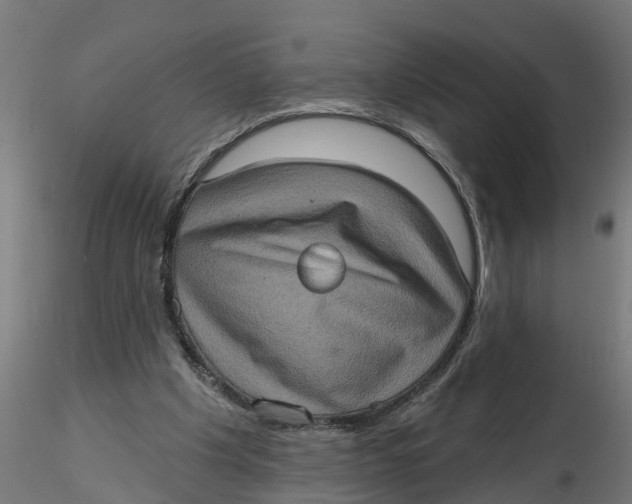 X0000116770201201001071223