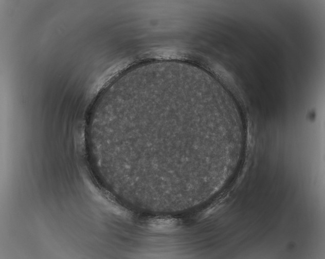 X0000116770202201001071223