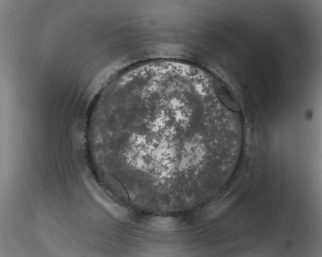 X0000116770203201001071223