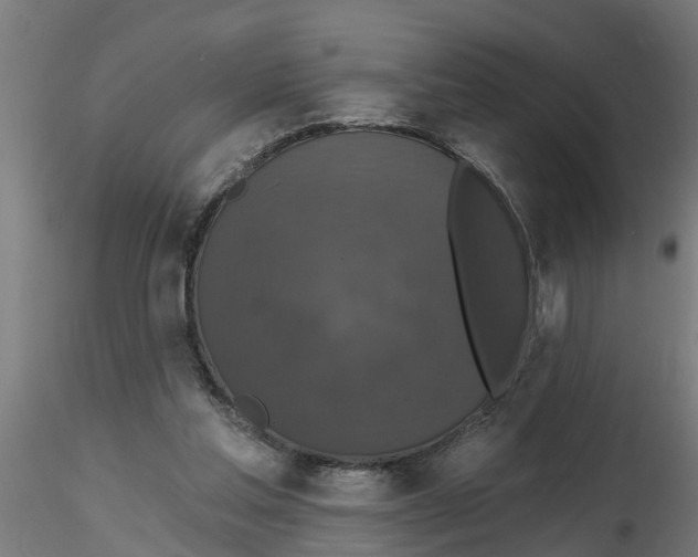 X0000116770205201001071223