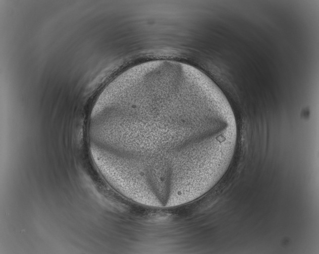 X0000116770206201001071223