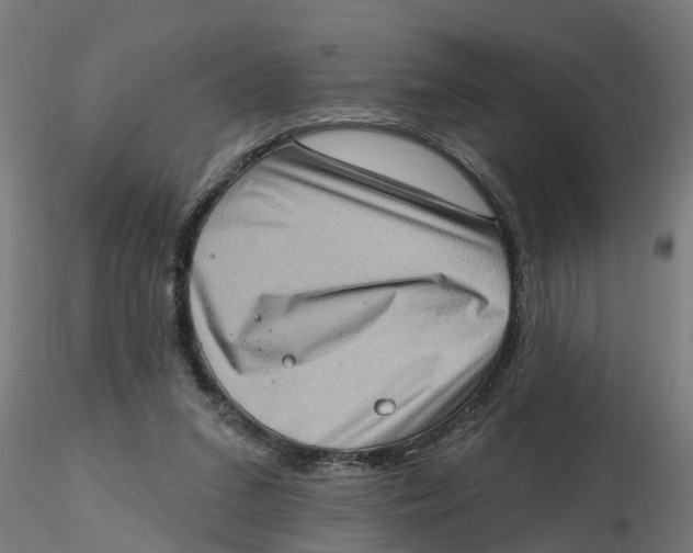 X0000116770207201001071223
